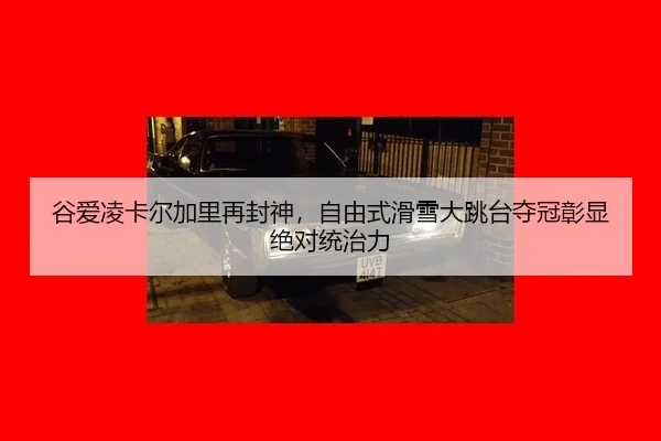 gu-ai-ling-ka-er-jia-li-zai-feng-shen-zi-you-shi-hua-xue-da-tiao-tai-duo-guan-zhang-xian-jue-dui-tong-zhi-li-2-378.jpg